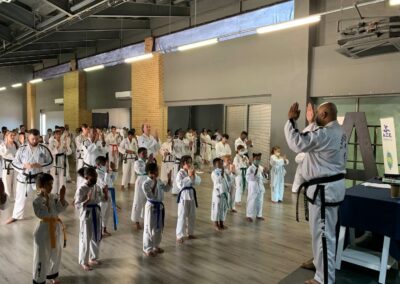 ace tae kwondo centre suninghill 20
