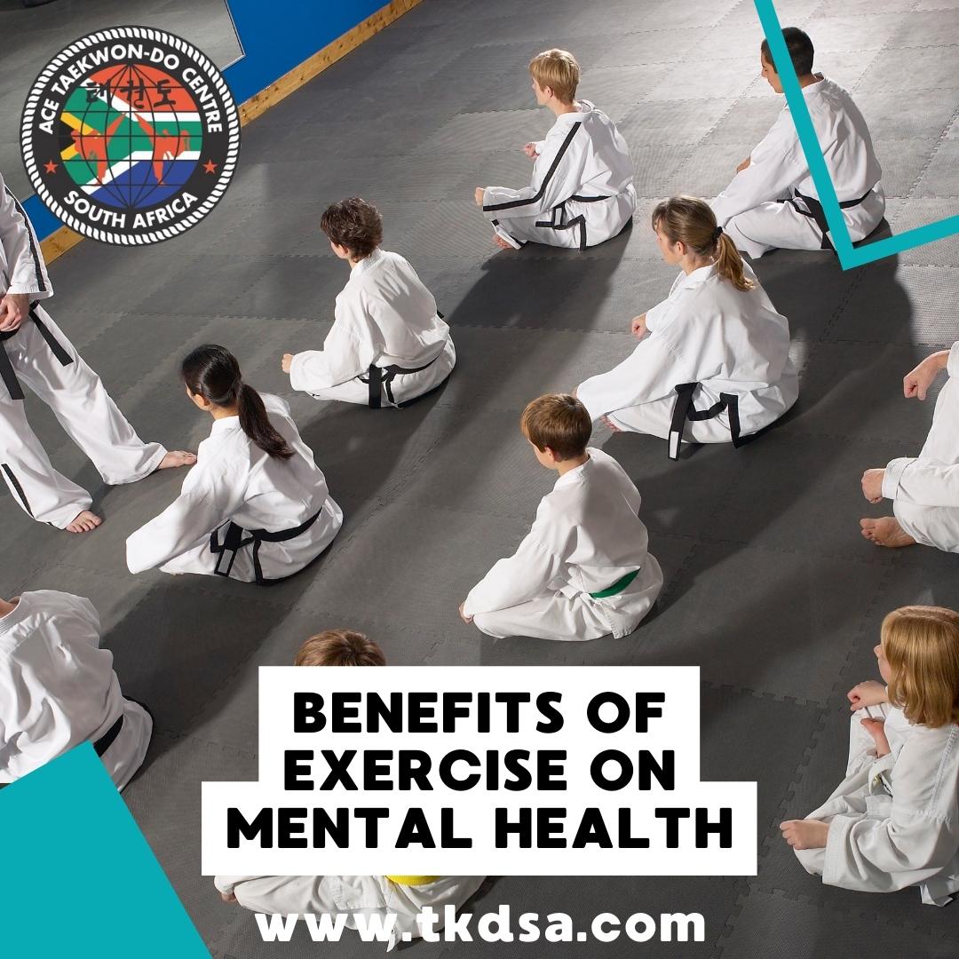 TaeKwon-Do Sunninghill taekwon-do centre sandton tkdsa