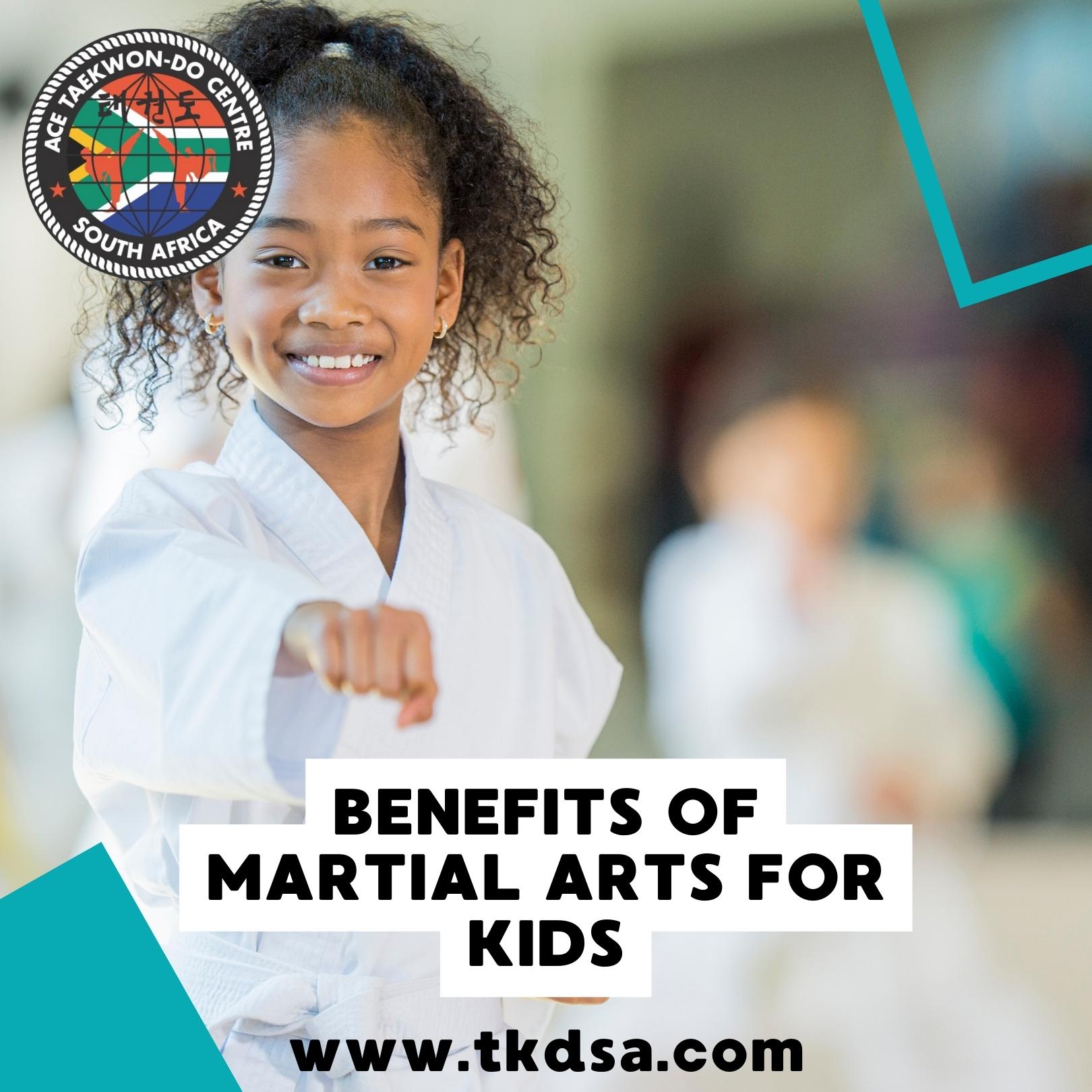 TaeKwon-Do Sunninghill taekwon-do centre sandton tkdsa (3)