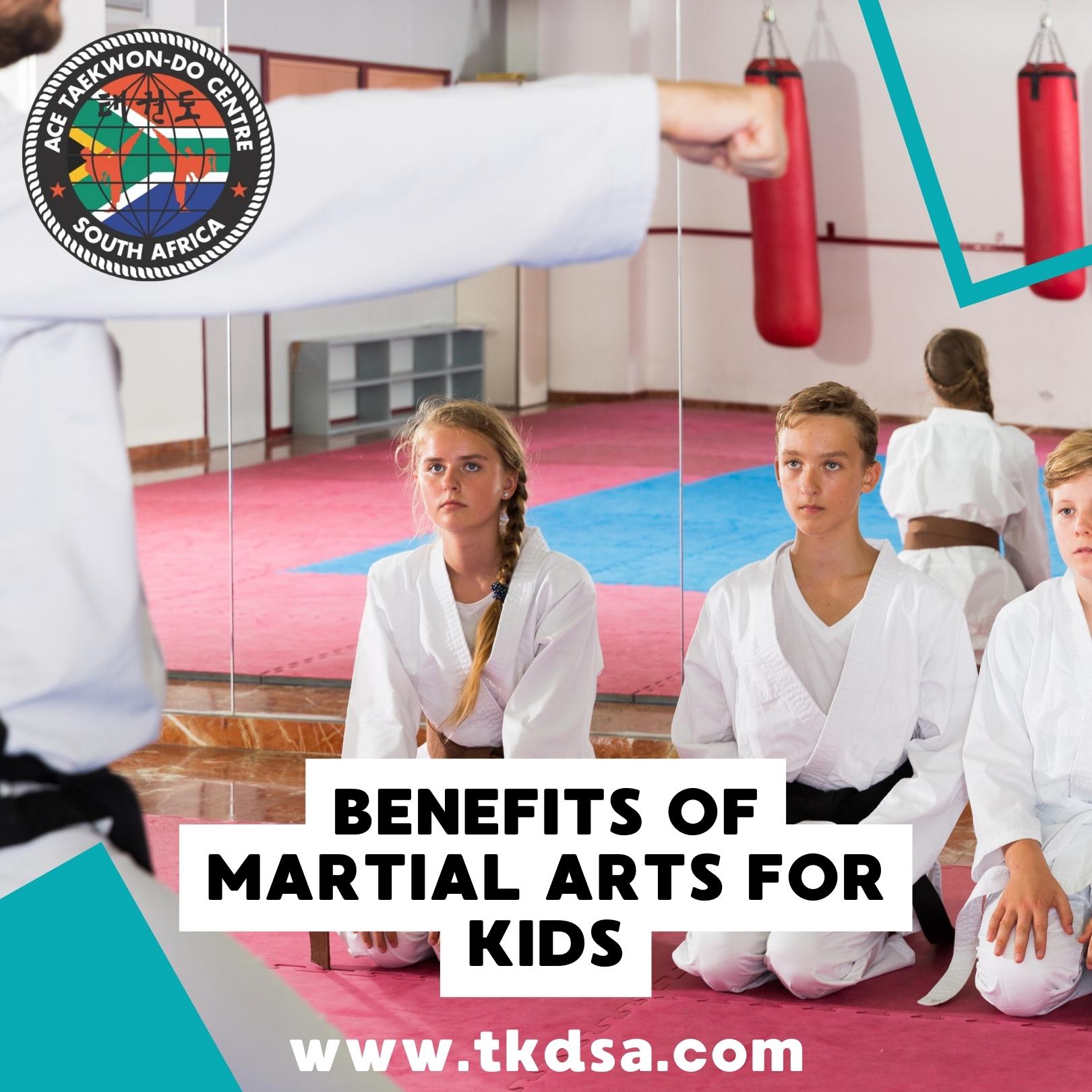 TaeKwon-Do Sunninghill taekwon-do centre sandton tkdsa (4)