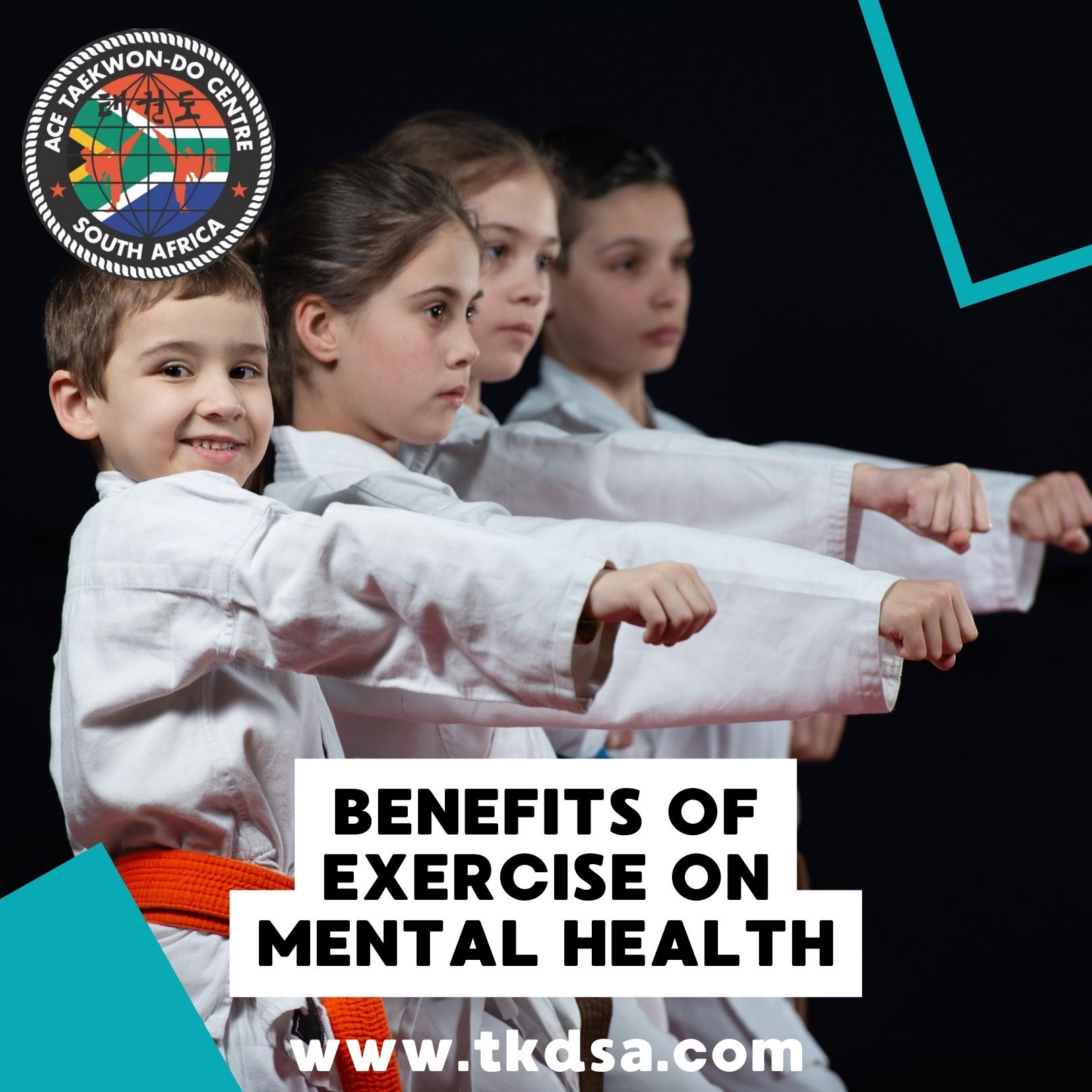 TaeKwon-Do Sunninghill taekwon-do centre sandton tkdsa (5) TaeKwon-Do Sunninghill taekwon-do centre sandton tkdsa (5)