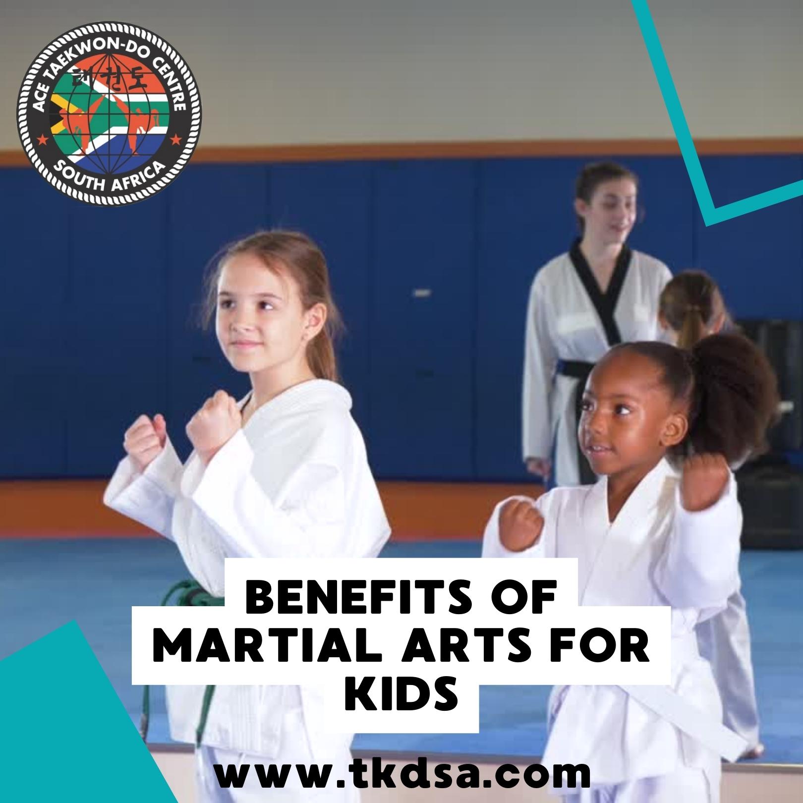 TaeKwon-Do Sunninghill taekwon-do centre sandton tkdsa