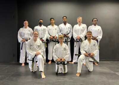 ace taekwondo training academy sunninghill