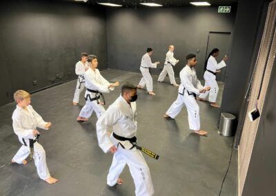 ace taekwondo training academy sunninghill