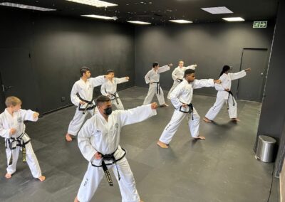 ace taekwondo training academy sunninghill
